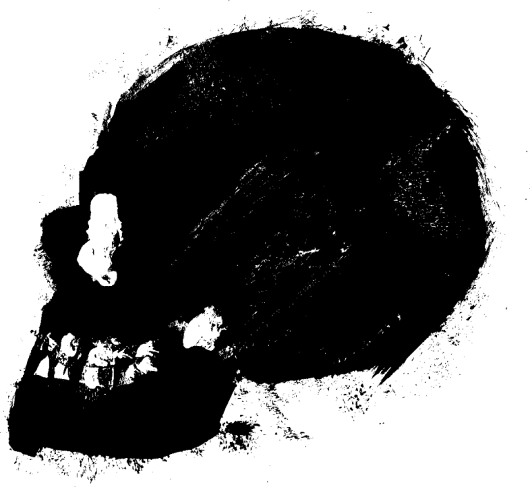 a black and white silhouette of a skull