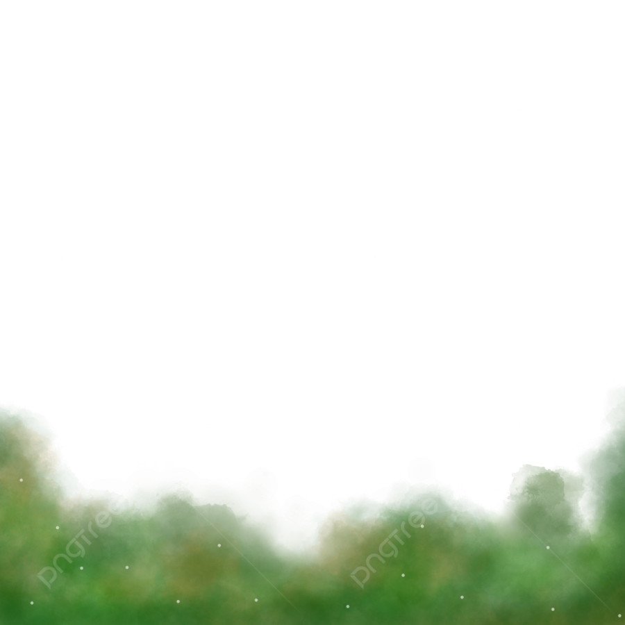 a white background with green grass and trees
