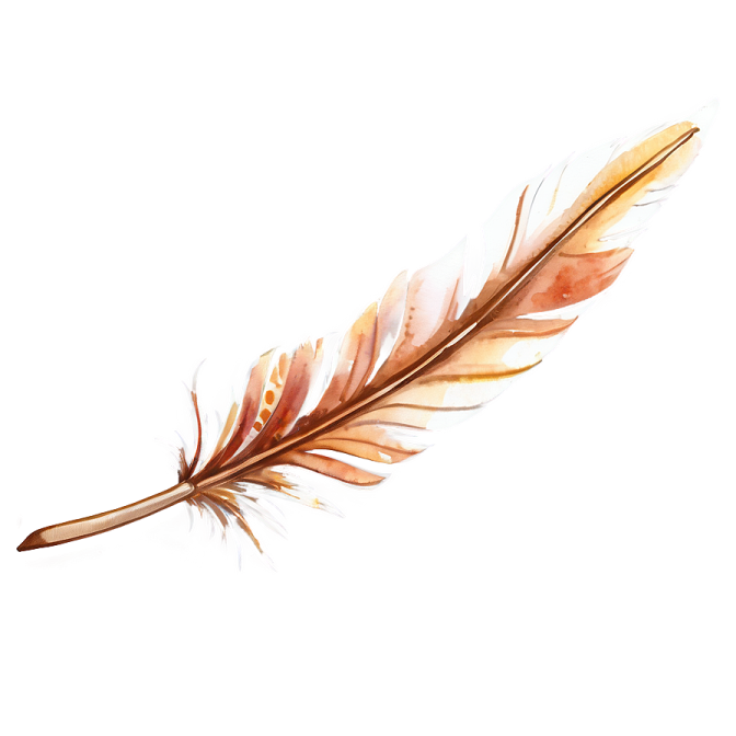 a watercolor feather on a white background