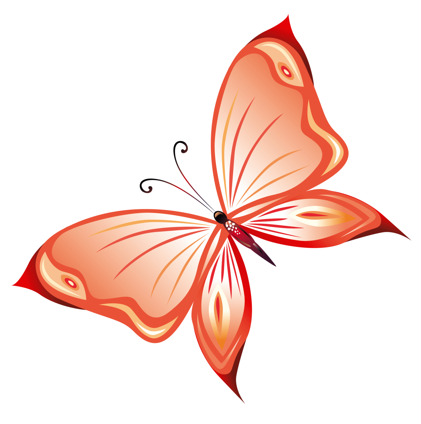 an orange butterfly on a white background