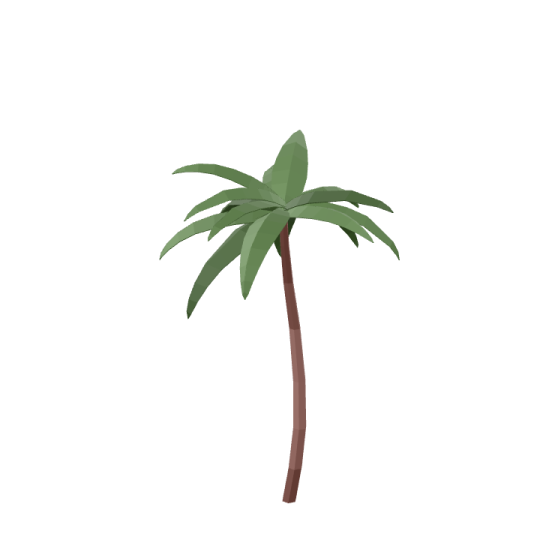 a palm tree on a white background