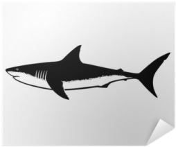 a black and white drawing of a shark