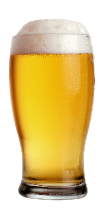 a glass of beer on a white background