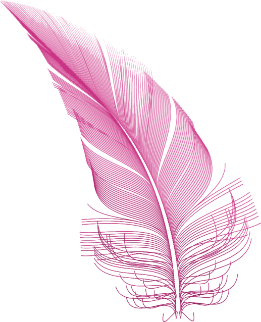 a pink feather on a white background