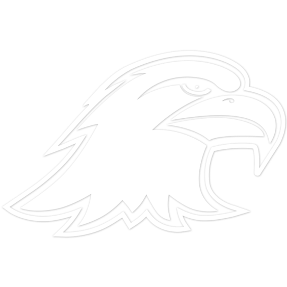 a drawing of an eagle's head