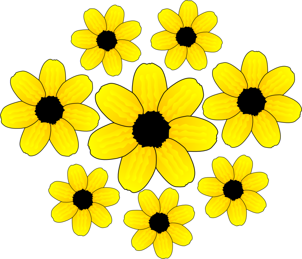 a bunch of yellow flowers