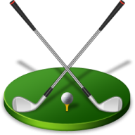 a green golf course with two clubs on it