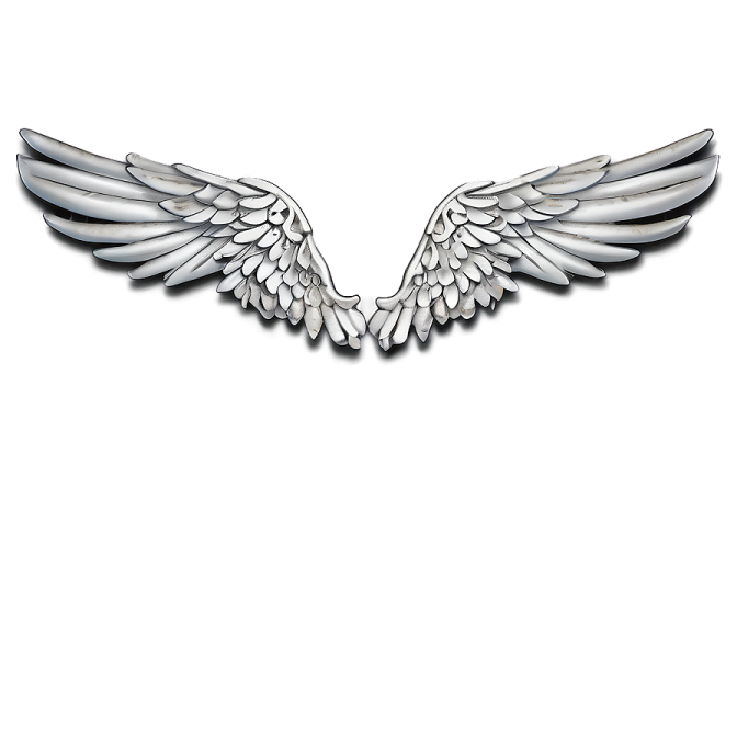 a pair of wings on a white background