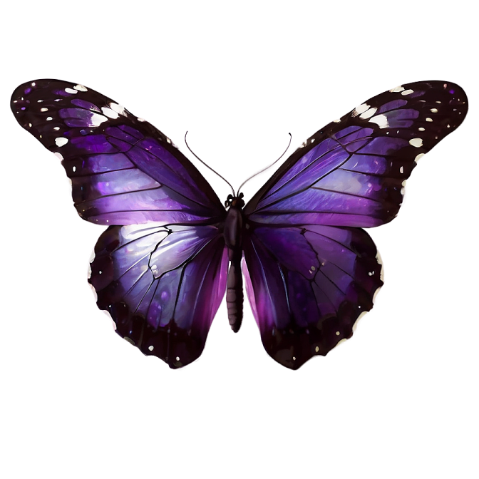 a purple butterfly on a white background