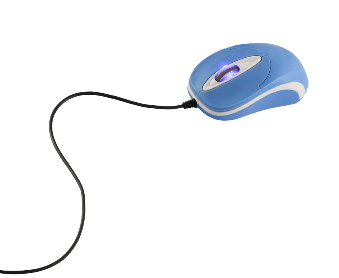 a computer mouse on a white background