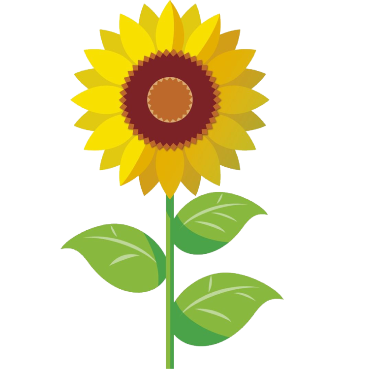 a sunflower with green leaves