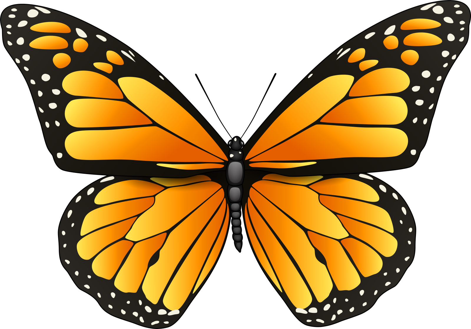 a monarch butterfly clipart