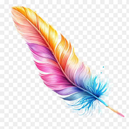 a colorful feather on a transparent background