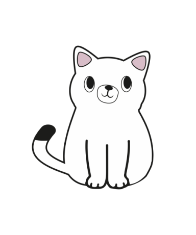 a black and white cat sitting on the ground