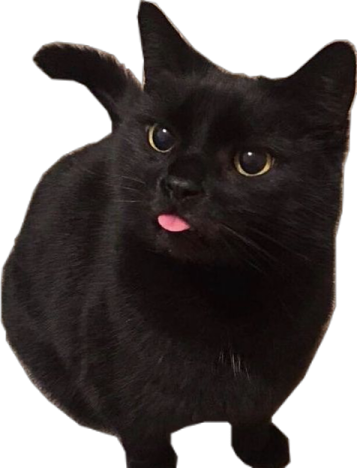 a black cat with its tongue sticking out
