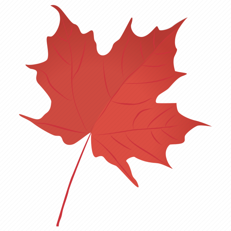 a red maple leaf on a white background