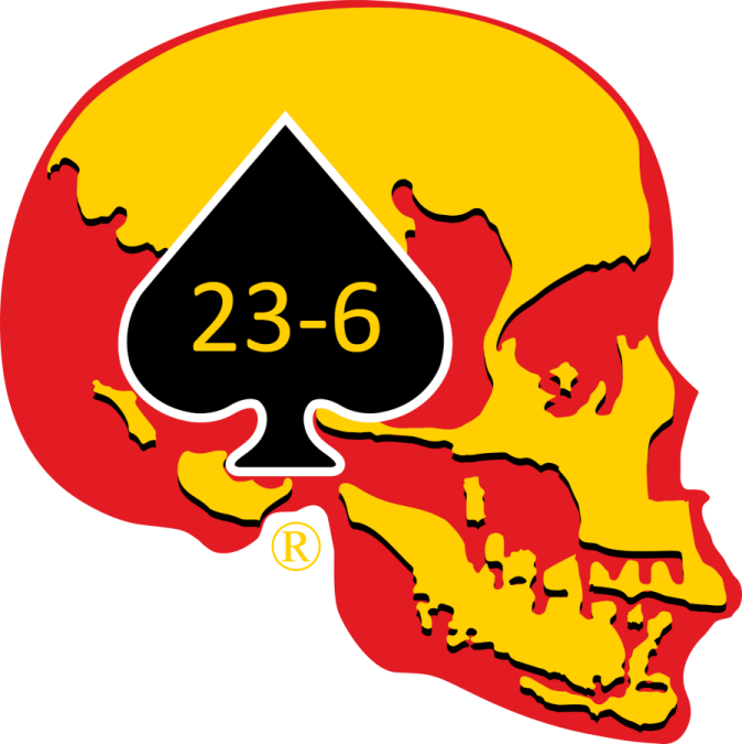 a skull with a playing card in the middle of it