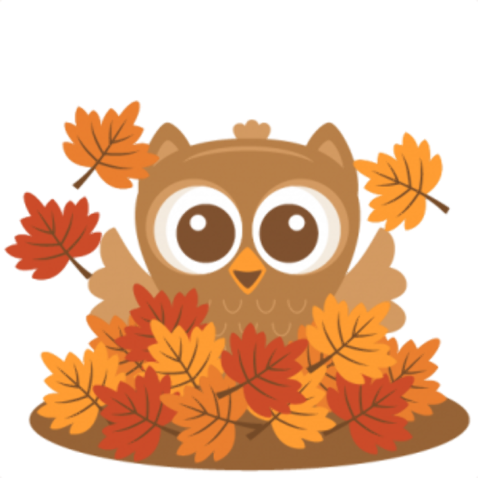 an owl sitting on top of a pile of leaves