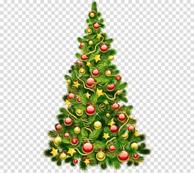 christmas tree clipart png