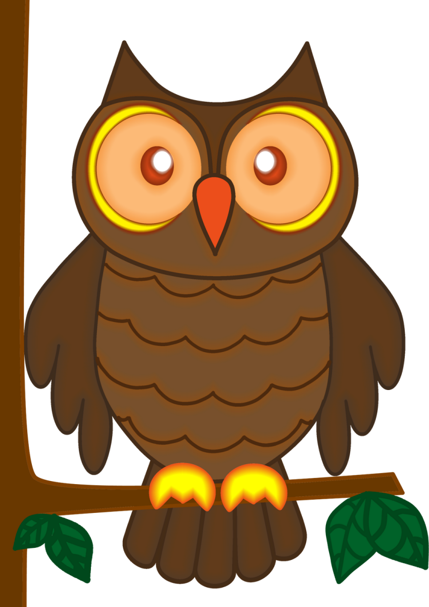 an owl sitting on a tree branch