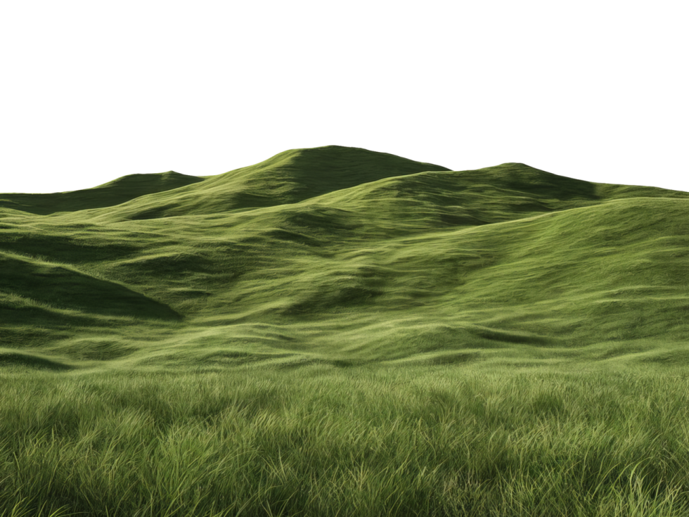 a field of green grass