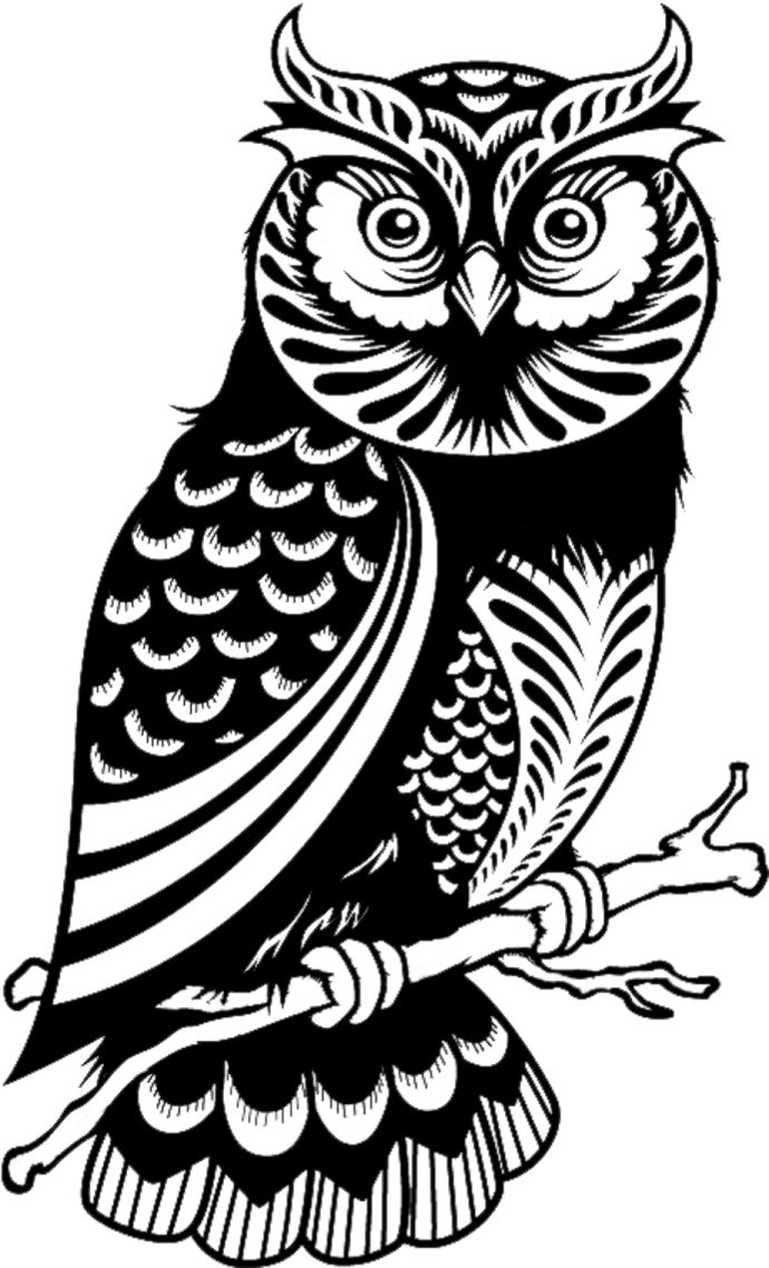 an owl sitting on a branch