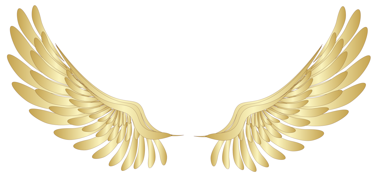 a pair of golden wings