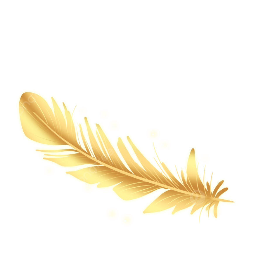 a golden feather on a white background