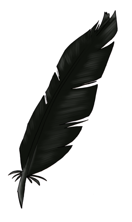 a black feather on a white background