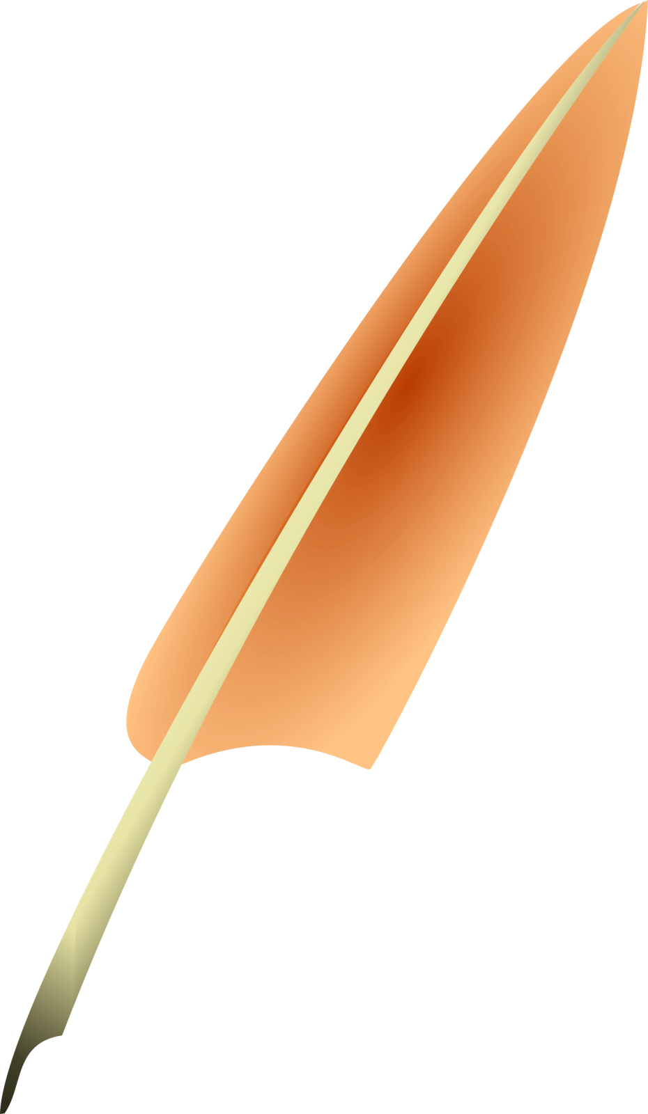 a brown feather on a white background