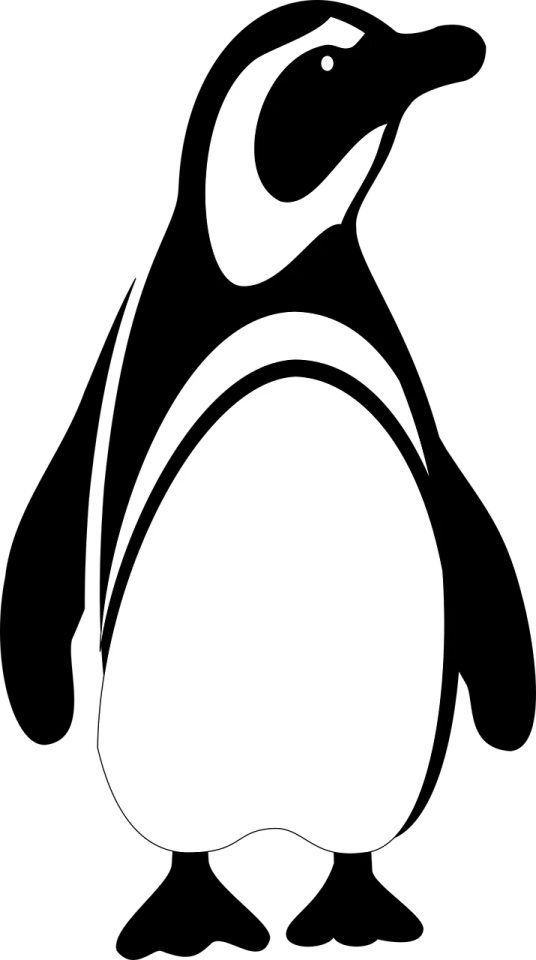 a black and white penguin on a white background