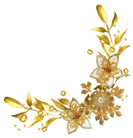 an image of a gold and white flower