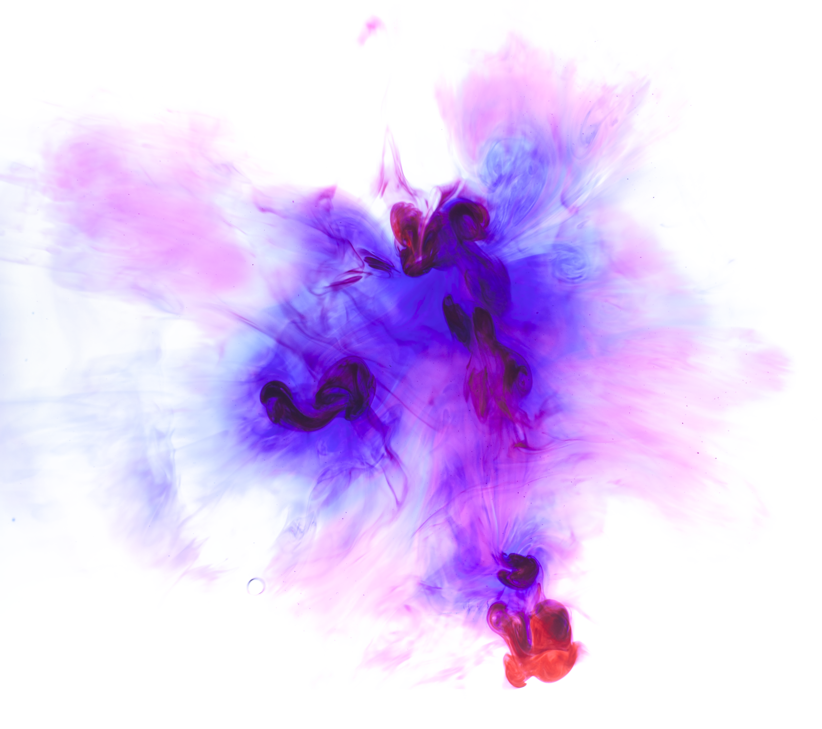 purple and red ink on white background