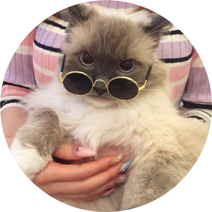 a person holding a cat with sunglasses on