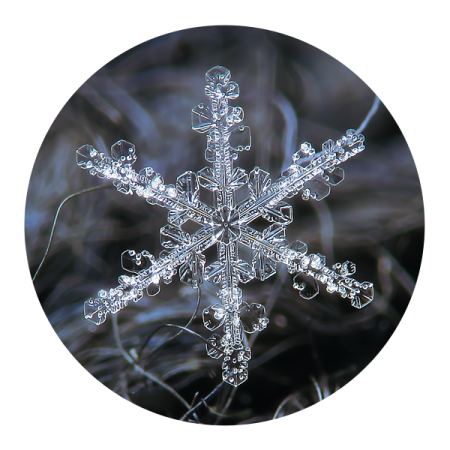 an image of a snowflorer