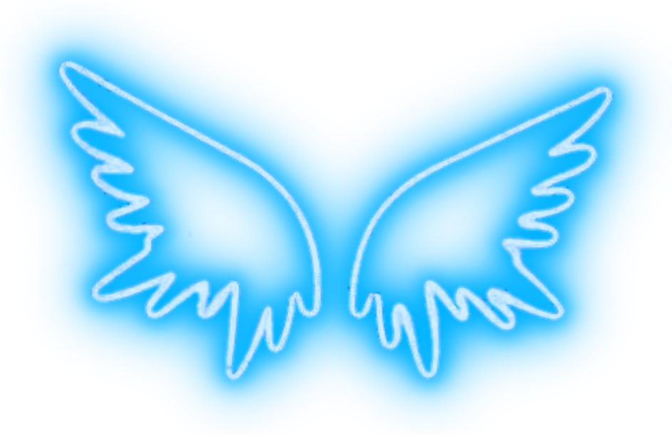 a blue butterfly with white wings