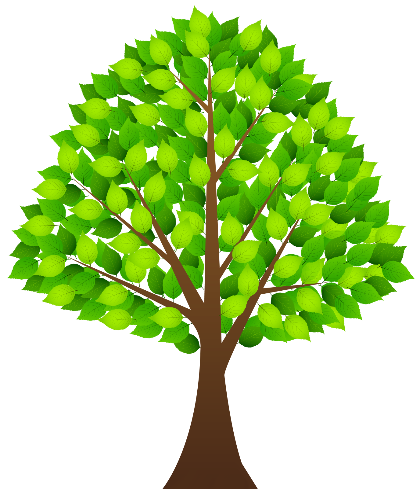 a tree with green leaves