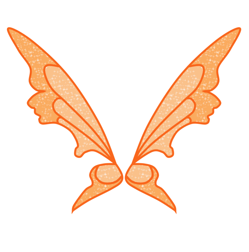a pair of wings on a white background