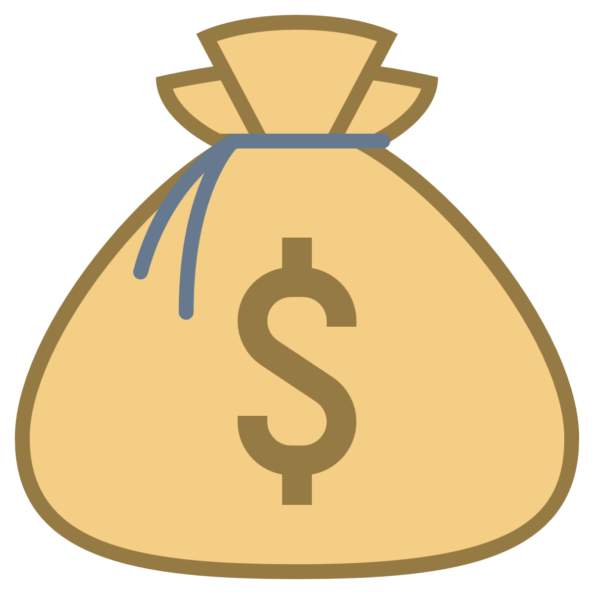 a bag of money