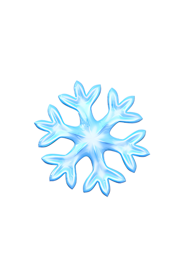 an image of a snowflorer