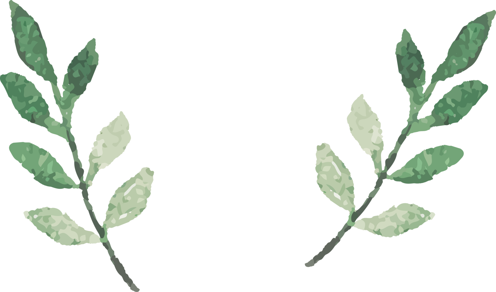 two green leaves on white background