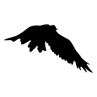 a bird silhouetted on a white background