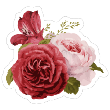 a red and pink rose sticker