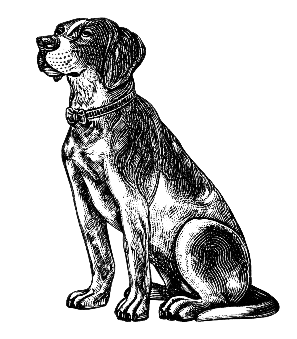 a black and white drawing of a dog
