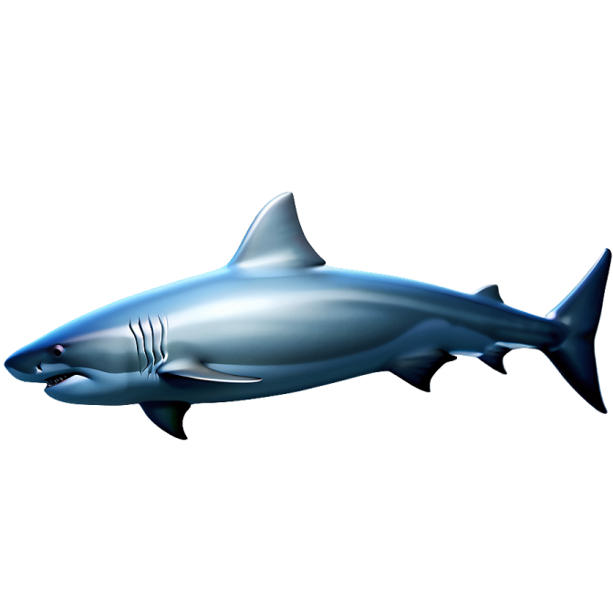 an image of a shark in the ocean