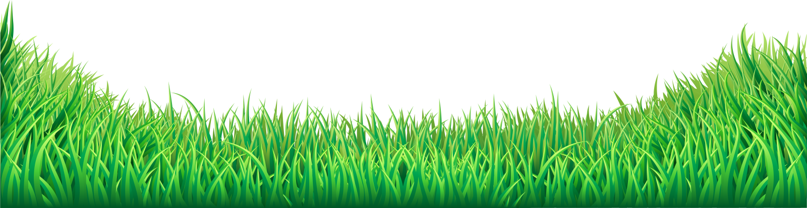 a green grass border with white background