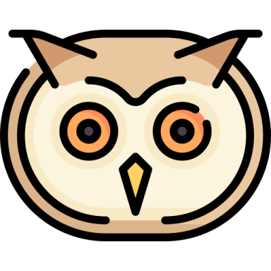 an owl's face with orange eyes