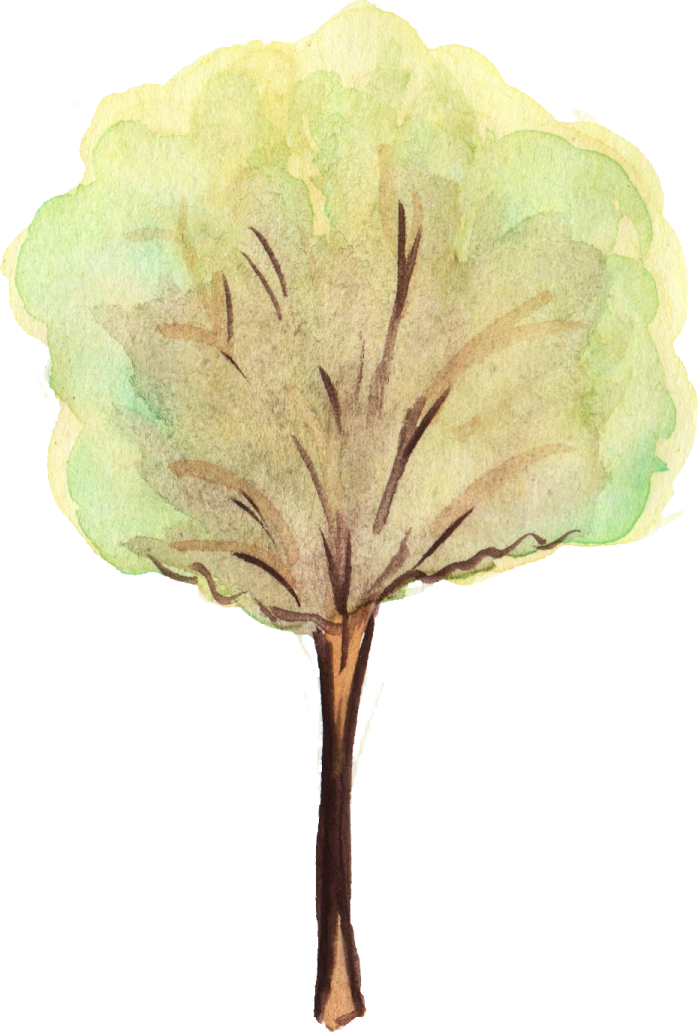a watercolor drawing of a tree