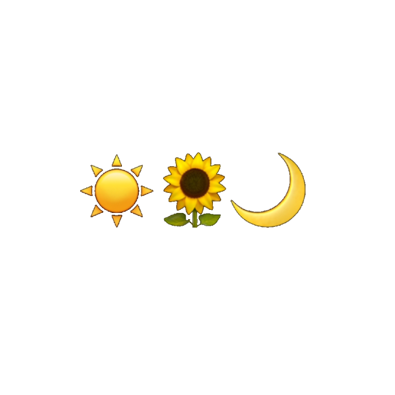 a sun and moon with leaves in the middle