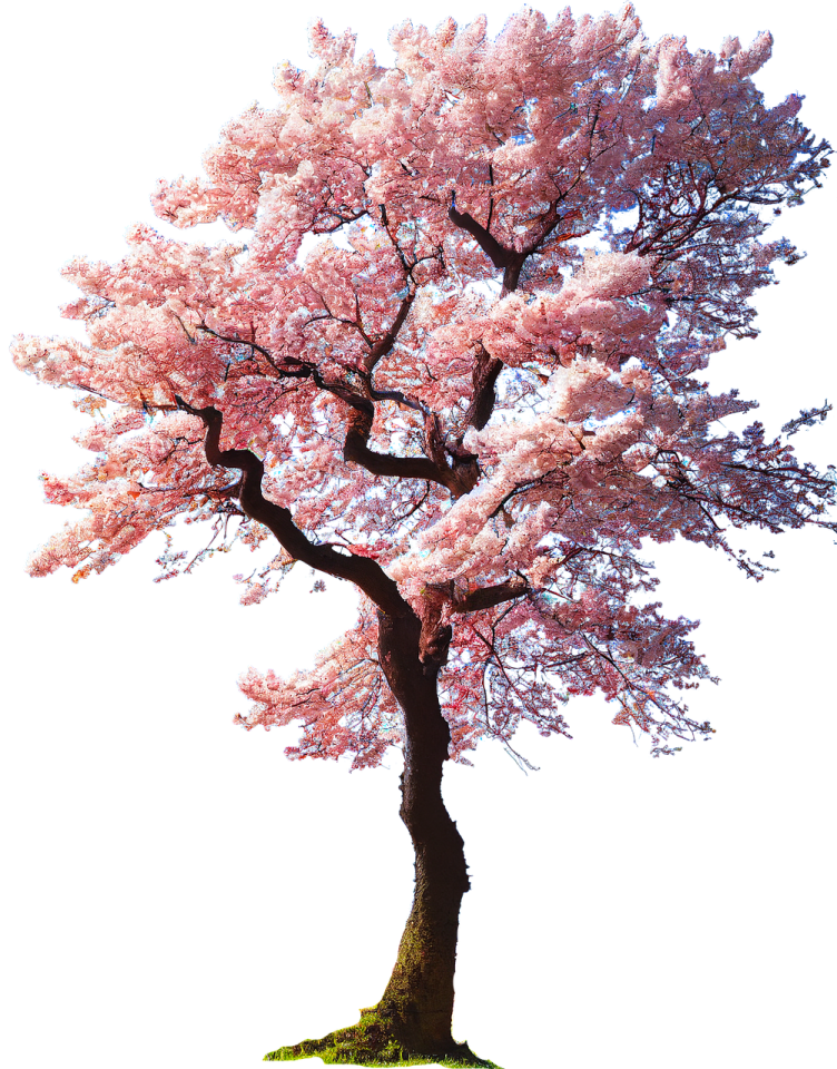 a tree with pink flowers on it